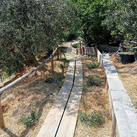 Luxury tent Glamping Degli Ulivi *