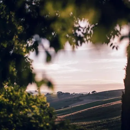 Glamping Degli Ulivi Luxury tent