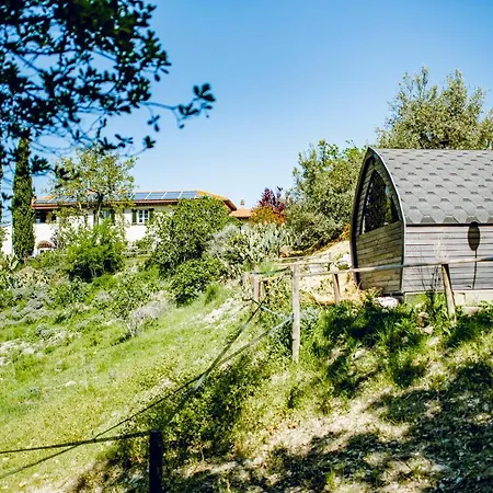 Glamping Degli Ulivi Luxury tent Santa Luce