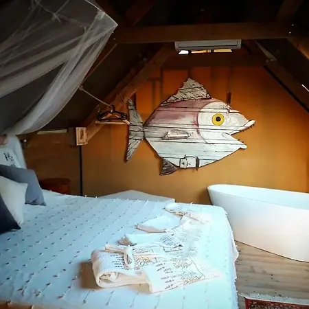 Glamping Degli Ulivi * Santa Luce