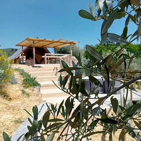 Glamping Degli Ulivi *