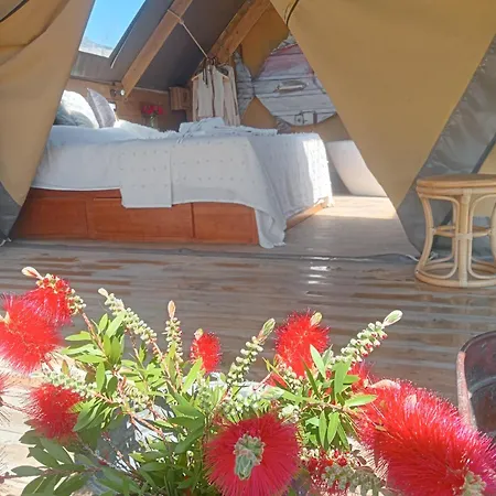 Glamping Degli Ulivi * Santa Luce
