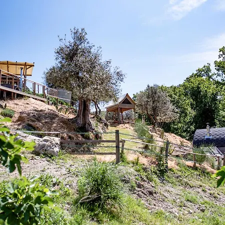 Glamping Degli Ulivi Luxury tent Santa Luce